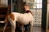 stills_1x01pilot_051.jpg