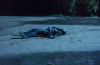 stills_1x22leaveittobeaver_095.jpg