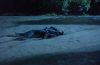 stills_1x22leaveittobeaver_096.jpg