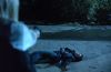 stills_1x22leaveittobeaver_100.jpg