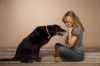 kb_nydogmagazine_001.jpg